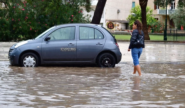 ΚΑΤΑΙΓΙΔΑ ΝΑΥΠΛΙΟ