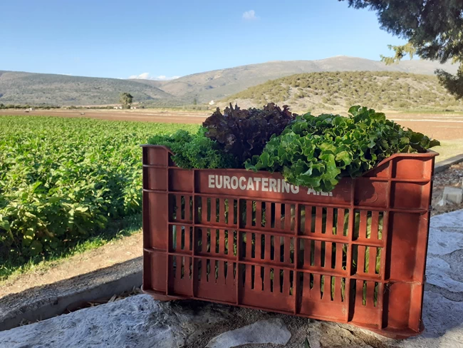 Στην Eurocatering συνεπενδύουν  η EOS Capital Partners και το Elikonos 2 S.C.A. SICAR