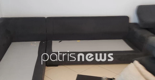 ΕΓΚΛΗΜΑΤΙΚΗ ΟΡΓΑΝΩΣΗ ΗΛΕΙΑ