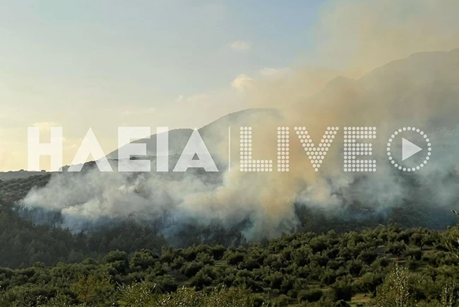 ΦΩΤΙΑ ΖΑΧΑΡΩ