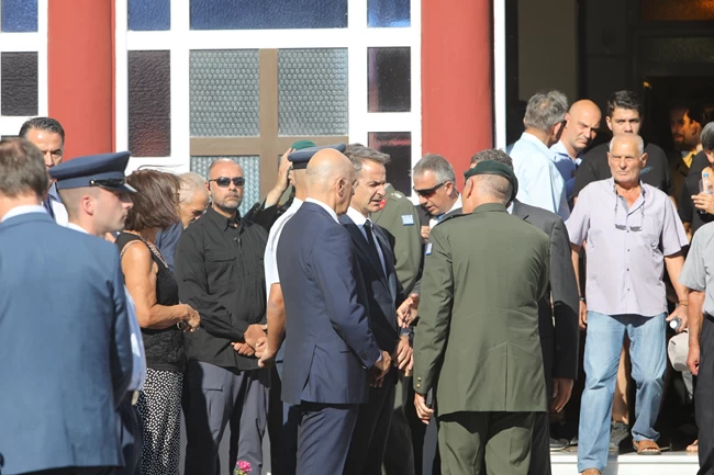 ΜΗΤΣΟΤΑΚΗΣ ΔΕΝΔΙΑΣ ΦΛΩΡΟΣ