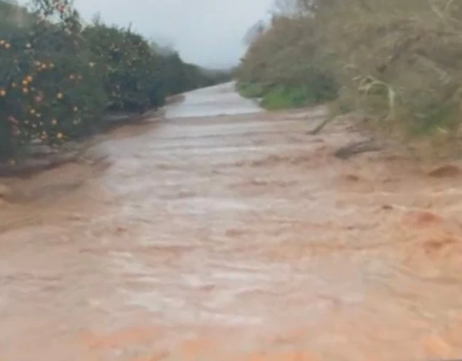 ΛΑΚΩΝΙΑ ΠΛΗΜΜΥΡΑ