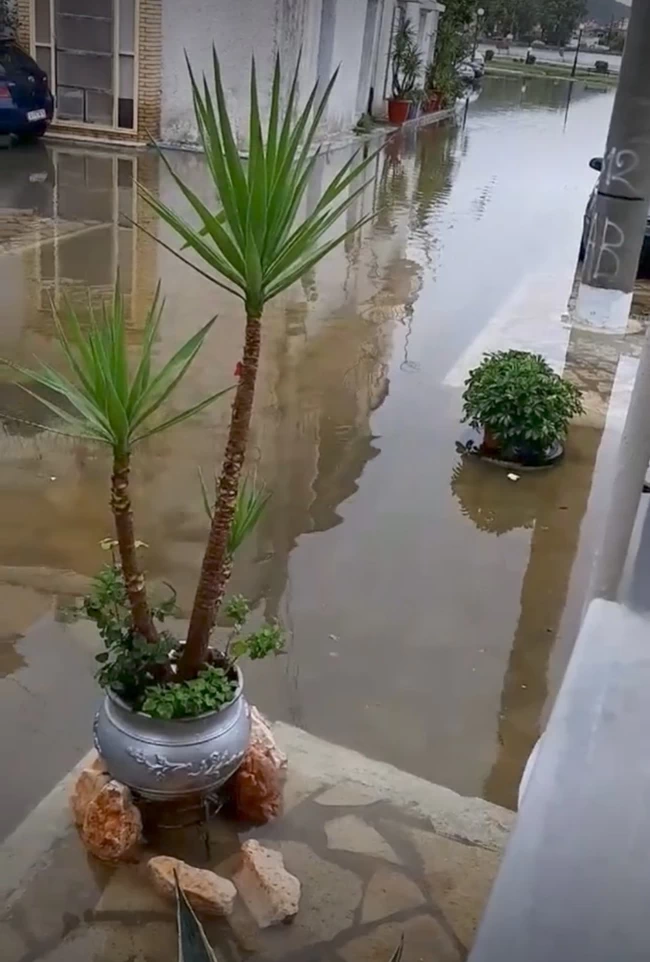 αιτωλικο