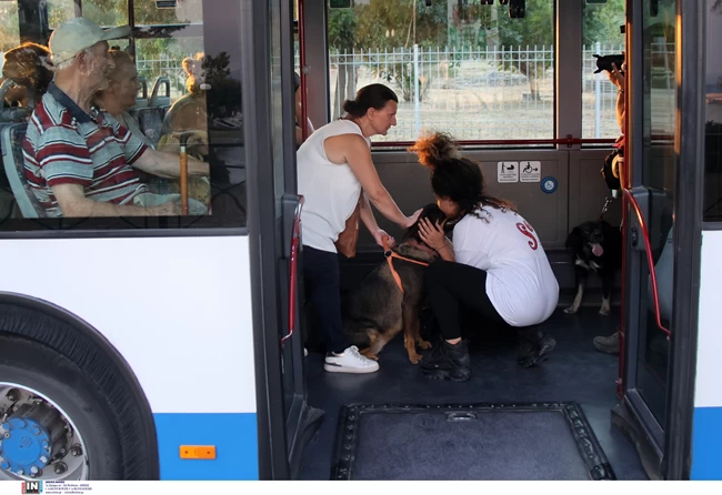 ΦΩΤΙΕΣ ΜΑΓΝΗΣΙΑ ΒΟΛΟΣ