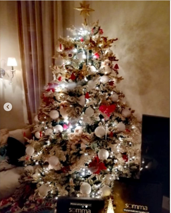 Έλενα Ράπτη: Εντυπωσιακός ο χριστουγεννιάτικος στολισμός στο σπίτι της [εικόνες-βίντεο]