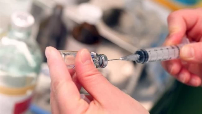 Εμβόλιο Pfizer: Μέχρι 29 Δεκεμβρίου θα έχει αποφασίσει ο Ευρωπαϊκός Οργανισμός Φαρμάκων - Τον Ιανουάριο οι εμβολιασμοί