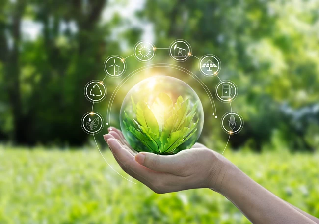 green economy