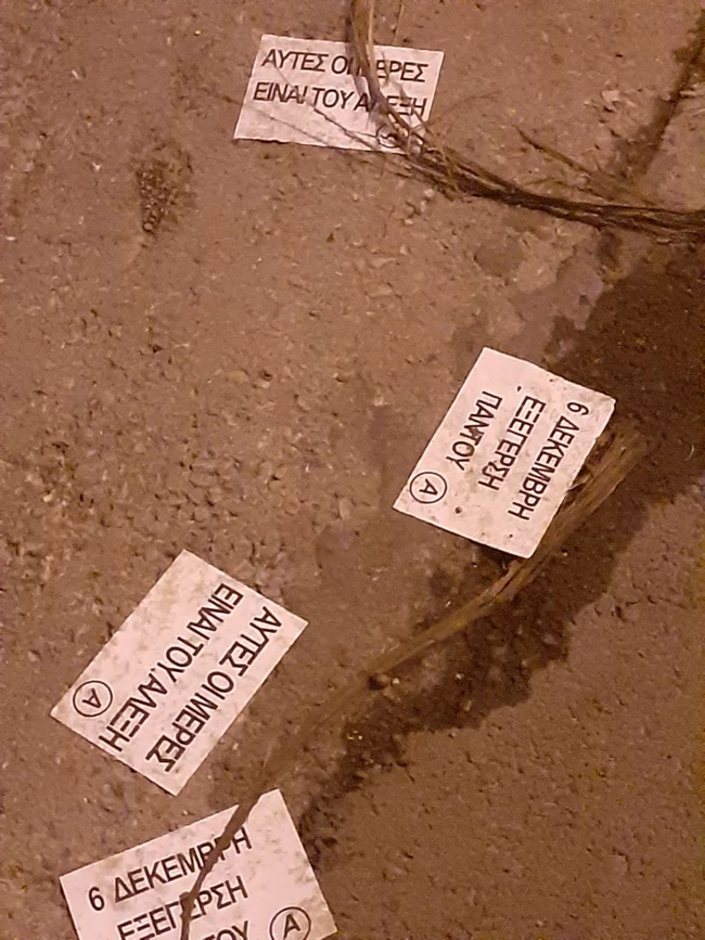 φειγ βολαν