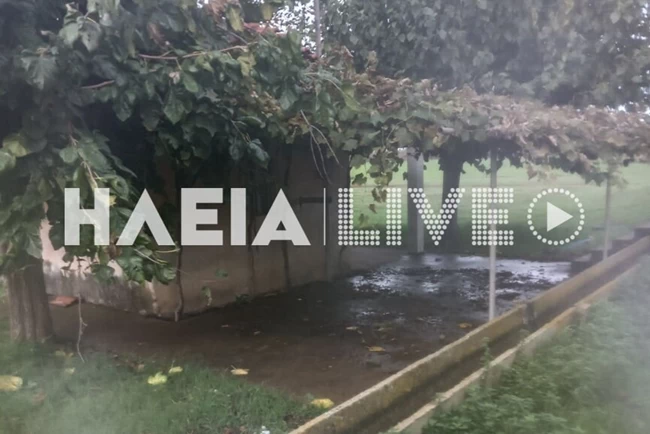 αμαλιάδα