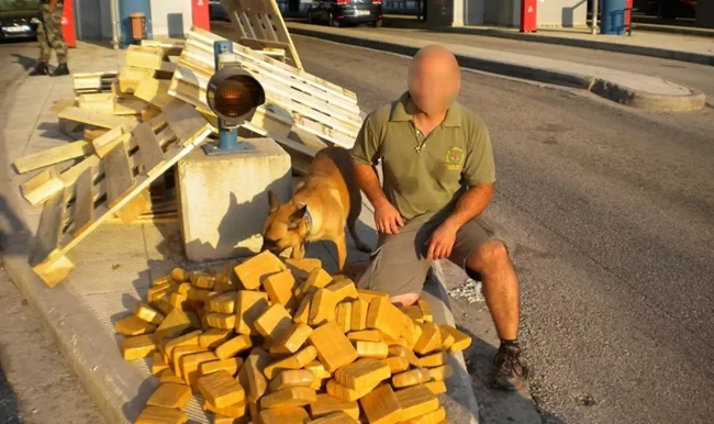 ΗΓΟΥΜΕΝΙΤΣΑ ΣΚΥΛΟΣ ΝΑΡΚΩΤΙΚΑ