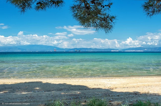 H βραβευμένη με Γαλάζια Σημαία παραλία στο Δασύλλιο Πρίνου