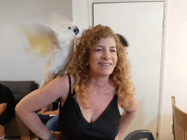 Merav Tal