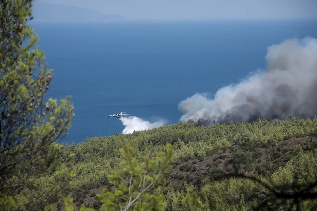 Φωτιά στην Εύβοια