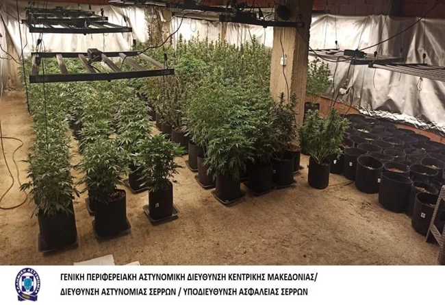 θεσσαλονικη κανναβη