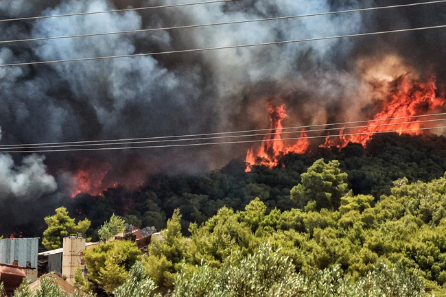 Φωτιά Κεχριές