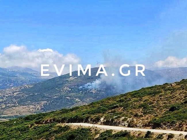 Εμπρησμό "βλέπει" η Πυροβεστική για την ανεξέλεγκτη φωτιά στην Κάρυστο - Απειλήθηκαν σπίτια στην Κρήτη