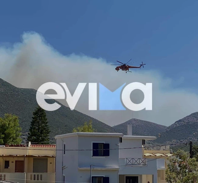 Πυρκαγια Μεσοχώρια Εύβοια 1