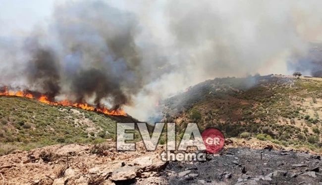 ΦΩΤΙΑ ΚΑΡΥΣΤΟΣ