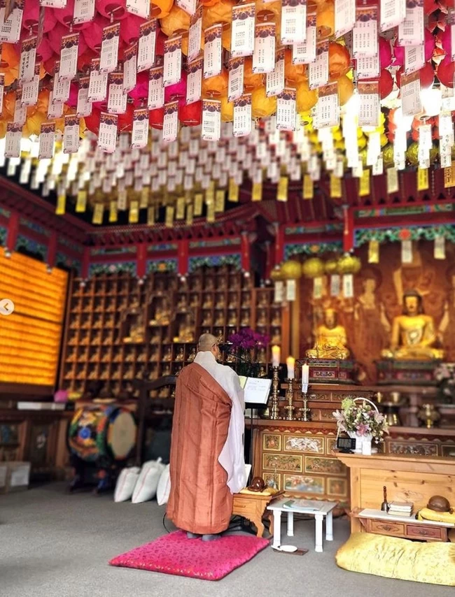 ΑΚΗΣ ΠΕΤΡΕΤΖΙΚΗΣ