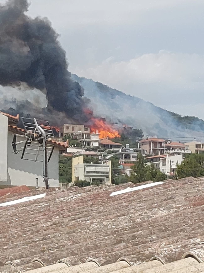 Λούτσα