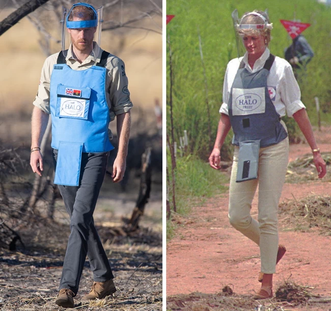 prince harry diana