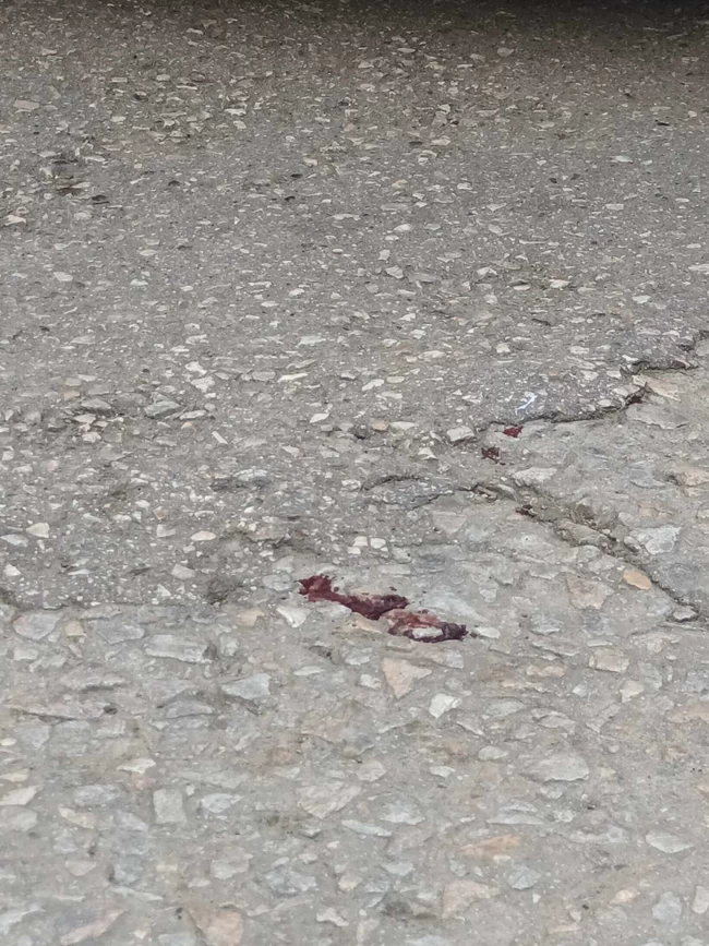ΑΚΡΟΠΟΛΗ ΕΠΙΘΕΣΗ