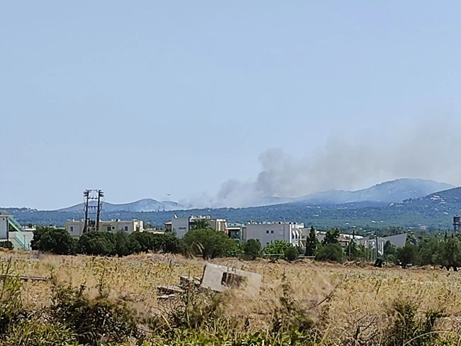 Δήμαρχος Διονύσου: Ανεξέλεγκτη η φωτιά στη Σταμάτα - Οι πρώτες εικόνες