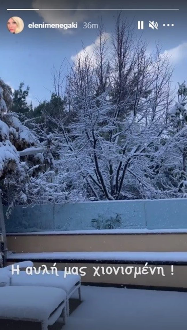 ΕΛΕΝΗ ΜΕΝΕΓΑΚΗ