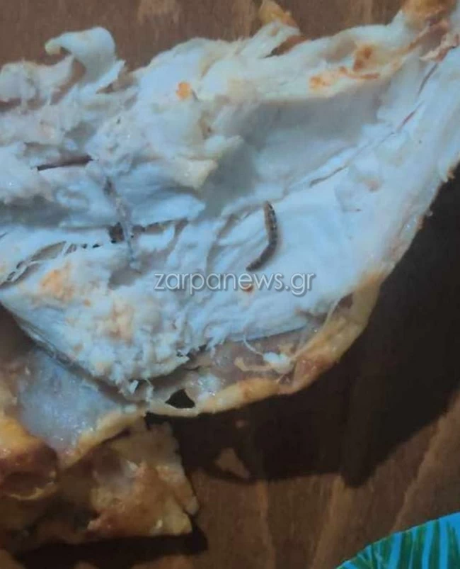 ΣΚΟΥΛΗΚΙΑ ΚΟΤΟΠΟΥΛΟ ΧΑΝΙΑ