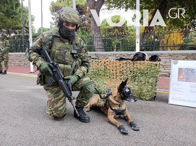 ΣΚΥΛΟΣ ΜΑΧΗΣ