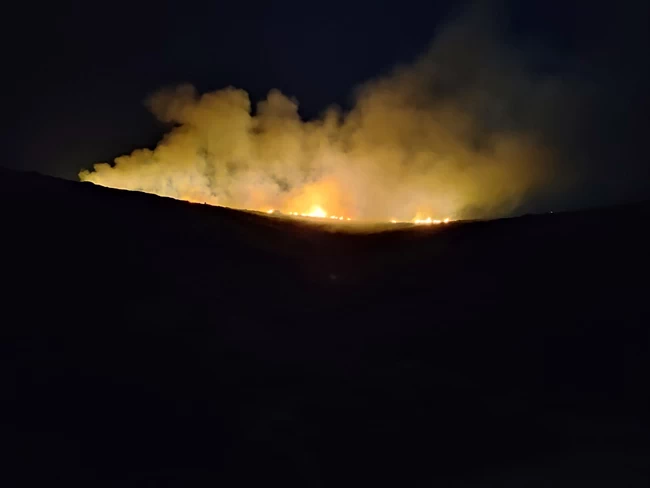 Meteo: Πάνω από 2.800.000 στρέμματα έκαψαν οι 10 πιο ακραίες πυρκαγιές στην Ελλάδα τα τελευταία 20 χρόνια
