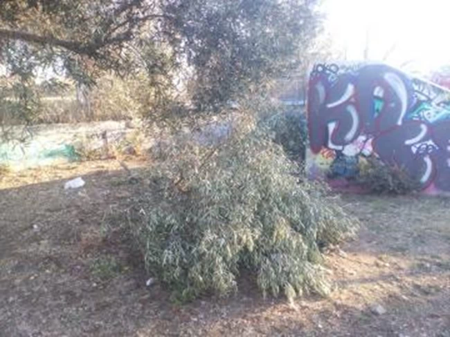 βανδαλισμός