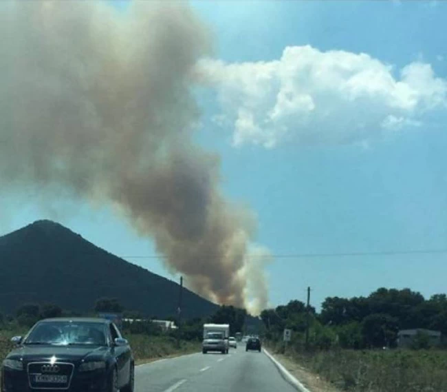 Φωτιά Μεσσηνία