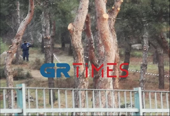 πλιχνι