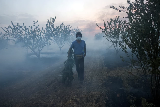 ΦΩΤΙΑ ΣΕΣΚΛΟ ΜΑΓΝΗΣΙΑΣ