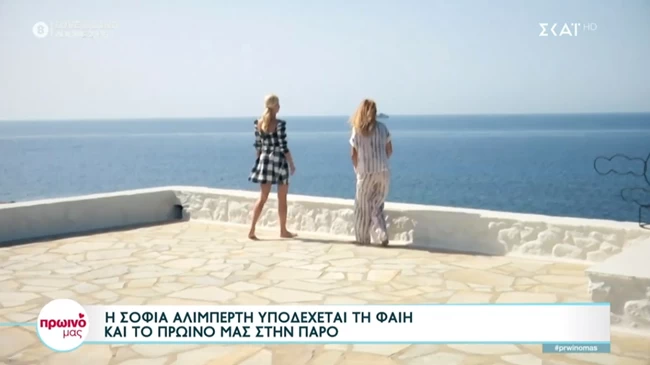 Σοφία Αλιμπέρτη: Το artistic σπίτι της στην Πάρο - Η μίνιμαλ κουζίνα χωρίς ντουλάπια και το απέραντο γαλάζιο