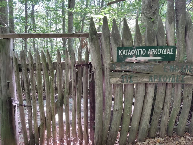 αρκτουρος