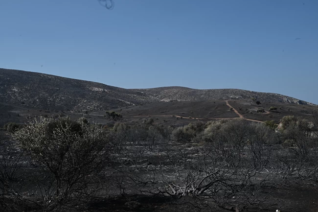 ΦΩΤΙΑ ΣΑΡΩΝΙΔΑ ΑΝΑΒΥΣΣΟ ΛΑΓΟΝΗΣΙ