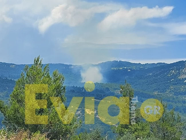 Μεγάλη φωτιά στην Κάρυστο - Συναγερμός στην Πυροσβεστική