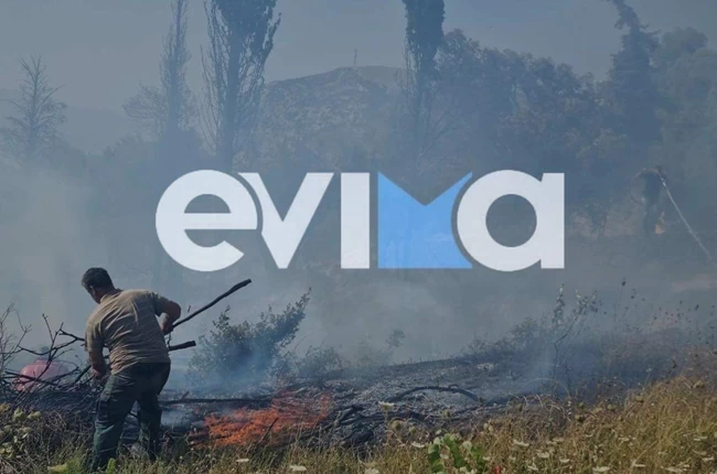 Υπό έλεγχο η φωτιά στην Κύμη Ευβοίας - Δίπλα από το νοσοκομείο [εικόνες]