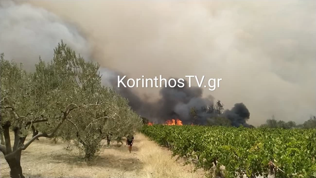 Φωτιά