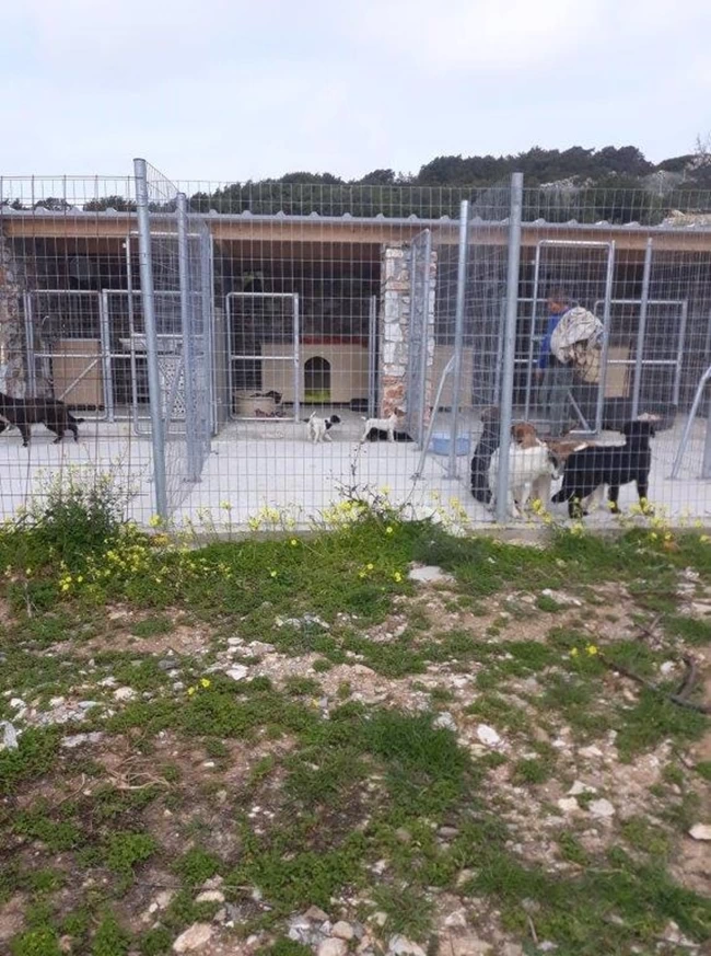 Καταφυγιο