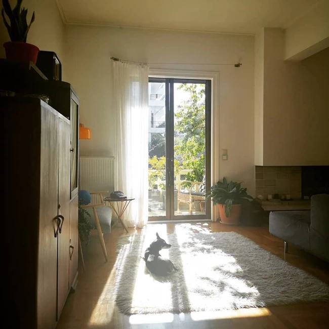 ΠΑΠΟΥΤΣΑΚΗ