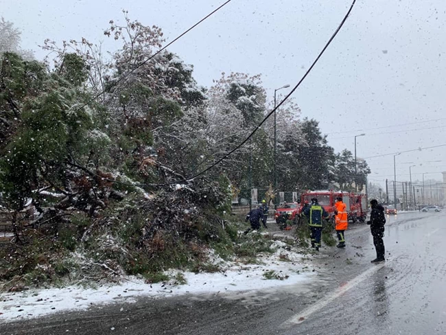 "Μήδεια": Επί ποδός ο δήμος Αθηναίων με 37 μηχανήματα στους δρόμους - Ανοιχτοί θερμαινόμενοι χώροι για τους άστεγους
