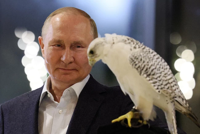 PUTIN FALCON