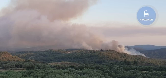 ΦΩΤΙΑ ΡΟΔΟΣ