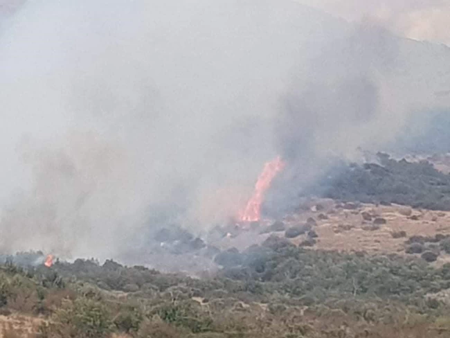Φωτιά Έβρος