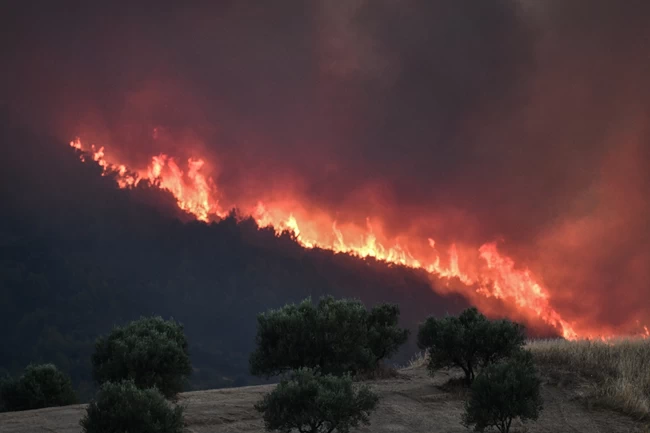 φωτιά στην Ηλεία