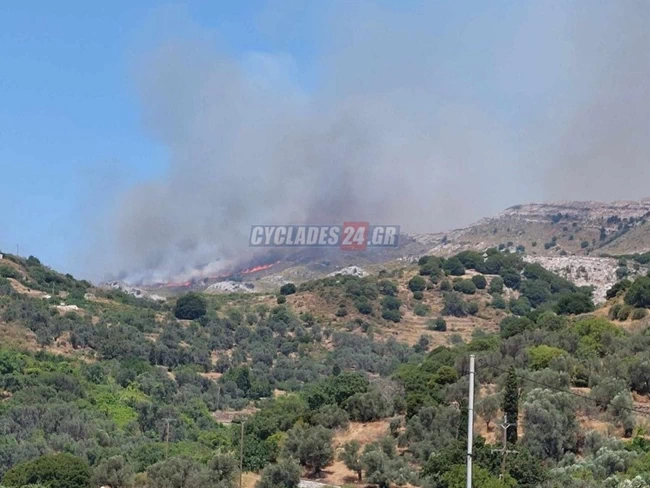 Φωτιά στη Νάξο: Ολονύχτια μάχη με τις φλόγες - Σε πολλά μέτωπα η πυρκαγιά, ισχυροί άνεμοι στην περιοχή [Βίντεο]