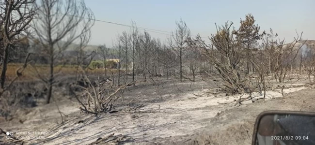 ροδος καμμενη εκταση 2